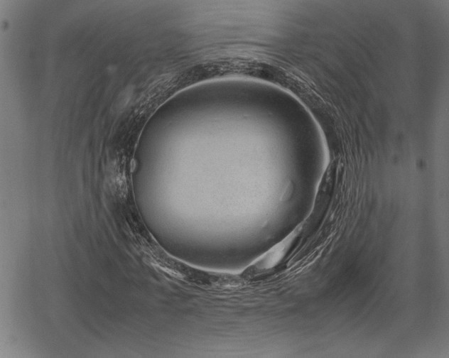 X0000067910771200604131342