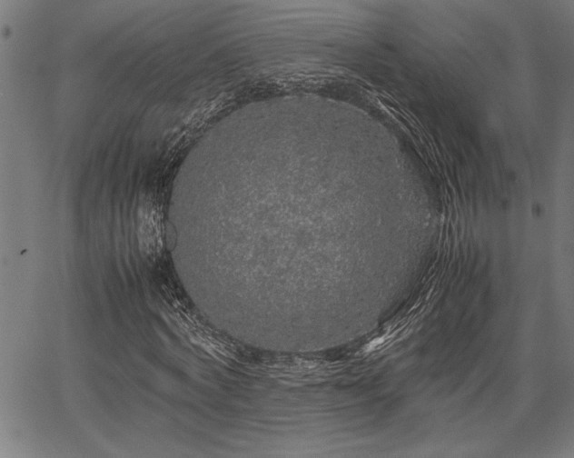 X0000067910772200604131342