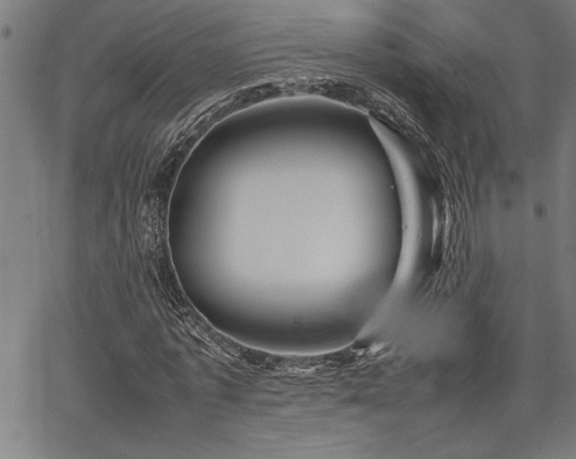 X0000067910773200604131342