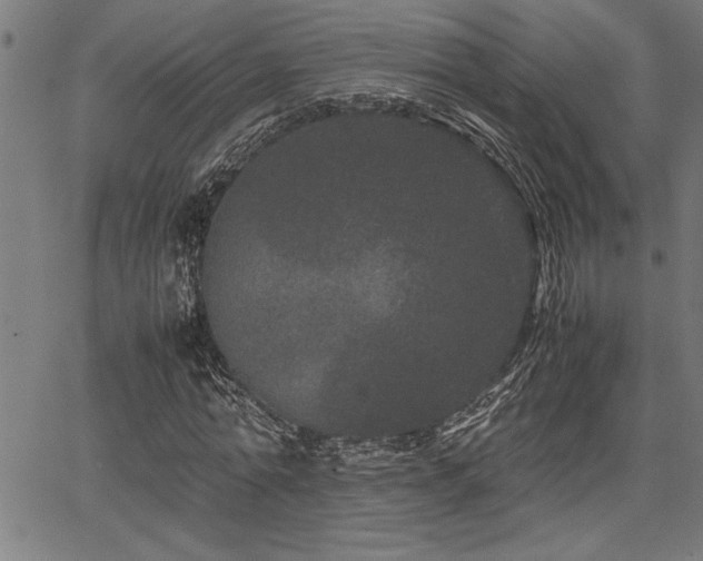 X0000067910774200604131342