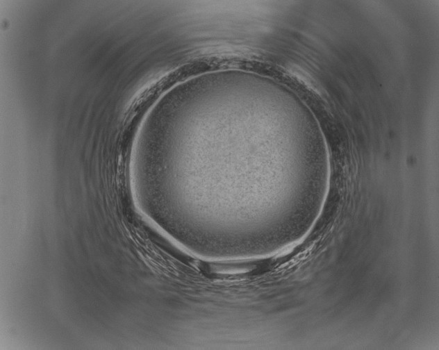 X0000067910775200604131342