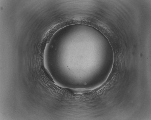 X0000067910776200604131342