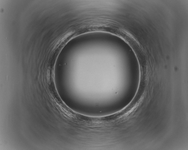 X0000067910777200604131342