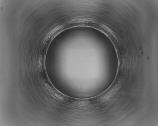 X0000067910778200604131342