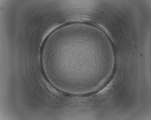 X0000067910779200604131342