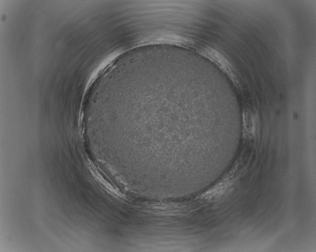 X0000067910780200604131342