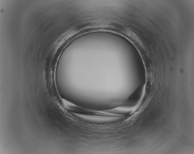 X0000067910781200604131342