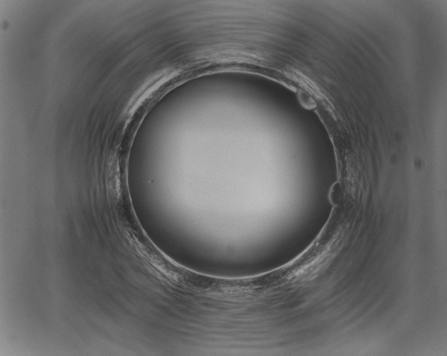 X0000067910782200604131342