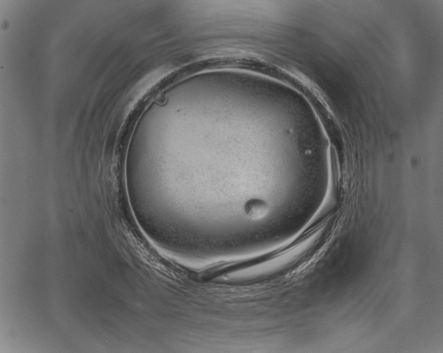 X0000067910783200604131342