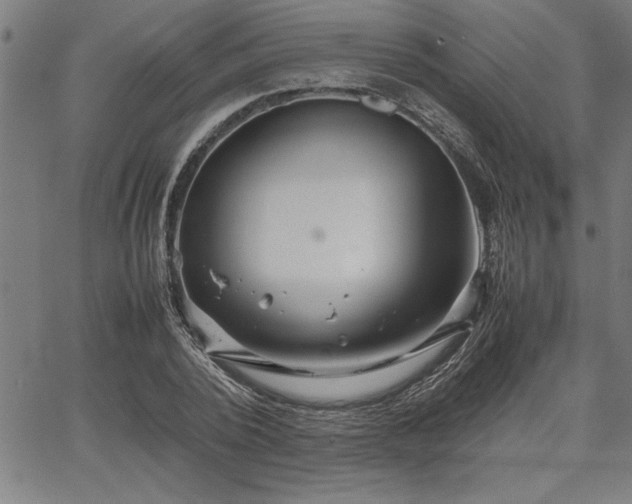 X0000067910784200604131342