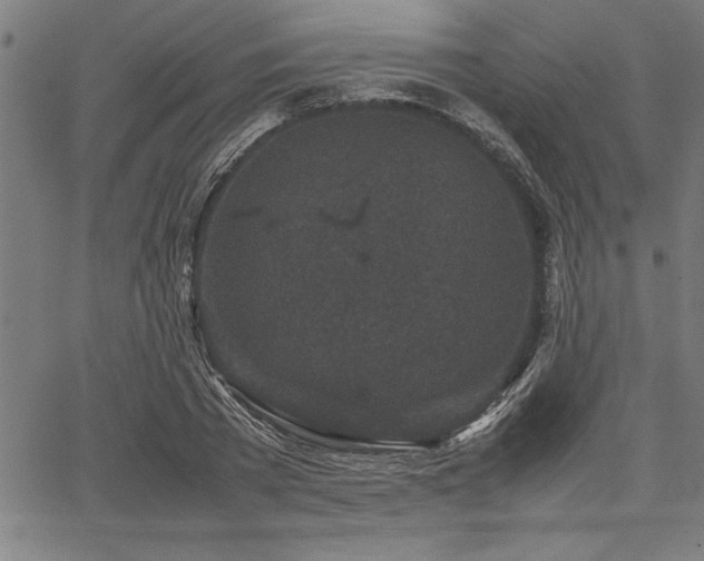 X0000067910785200604131342