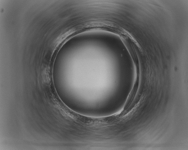 X0000067910786200604131342