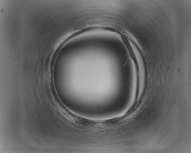 X0000067910787200604131342