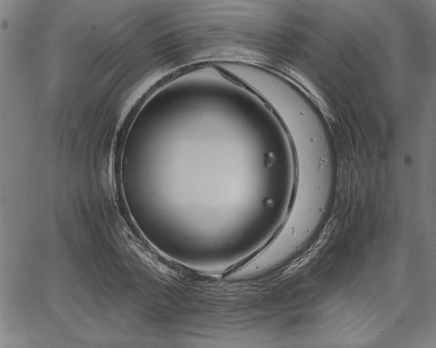 X0000067910788200604131342