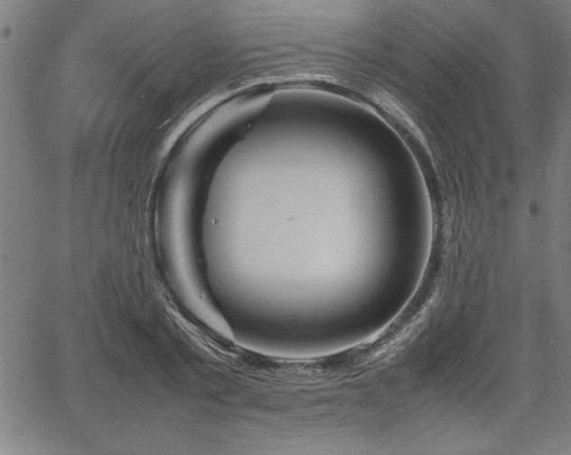 X0000067910789200604131342