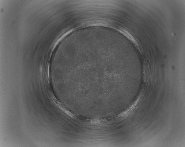 X0000067910790200604131342