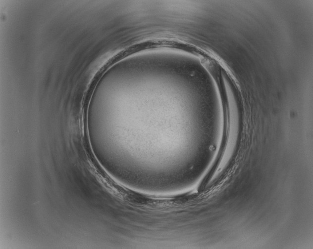 X0000067910791200604131342