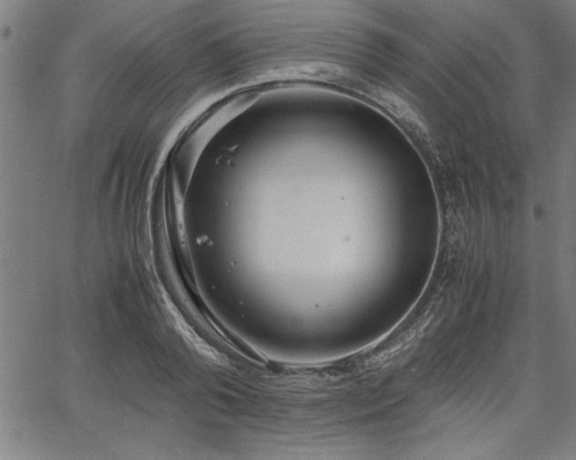 X0000067910792200604131342