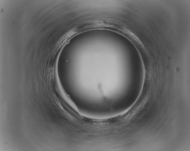 X0000067910793200604131342