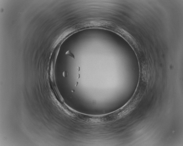 X0000067910794200604131342