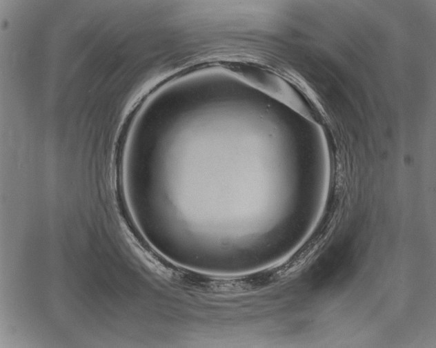 X0000067910795200604131342