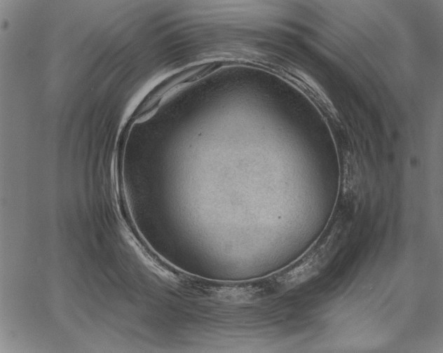 X0000067910796200604131342