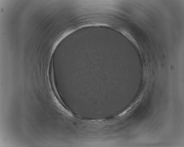 X0000067910797200604131342