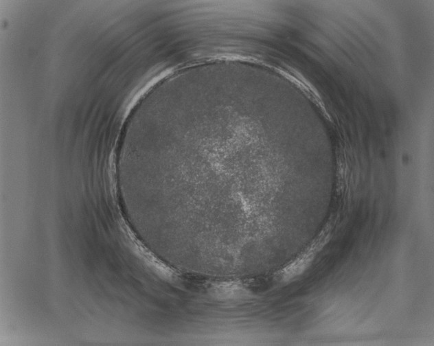 X0000067910798200604131342