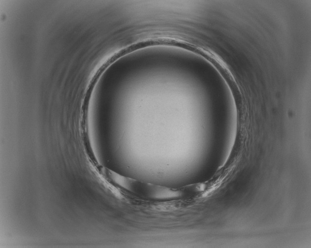 X0000067910799200604131342