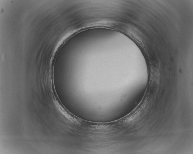 X0000067910800200604131342