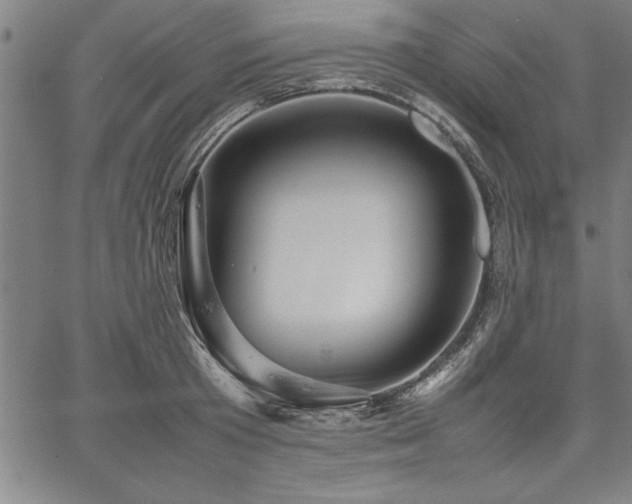 X0000067910801200604131342