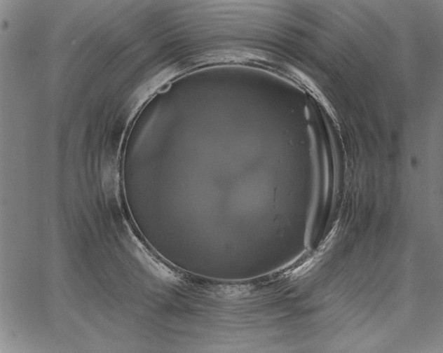 X0000067910802200604131342