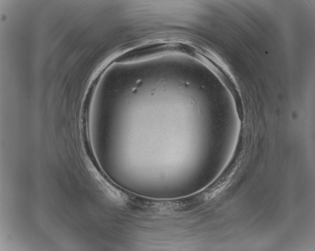 X0000067910803200604131342