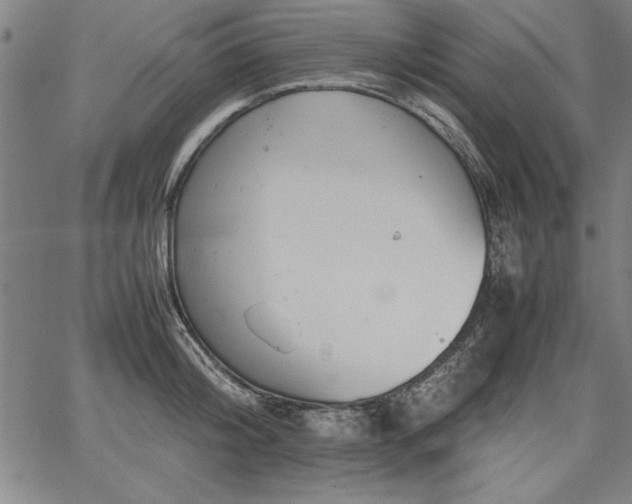 X0000067910804200604131342