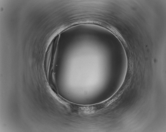 X0000067910805200604131342