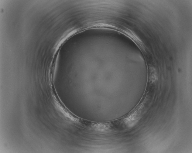 X0000067910806200604131342