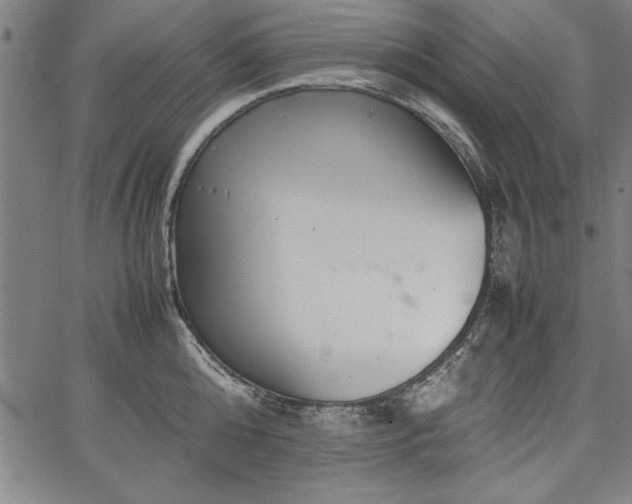 X0000067910808200604131342