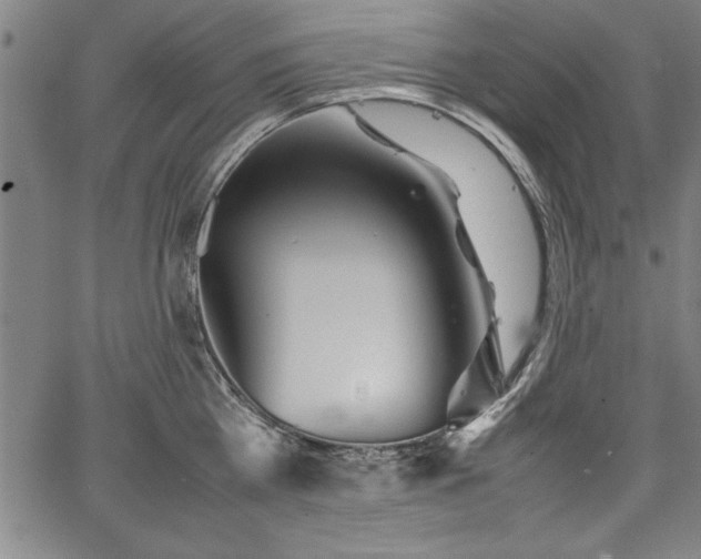 X0000067910809200604131342