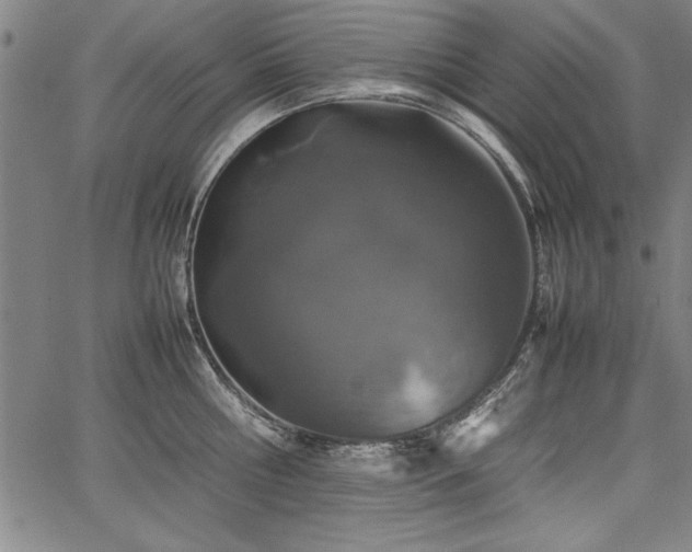 X0000067910810200604131342