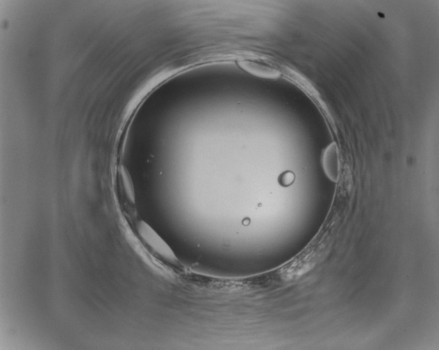 X0000067910811200604131342