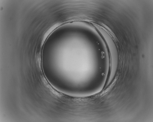 X0000067910812200604131342