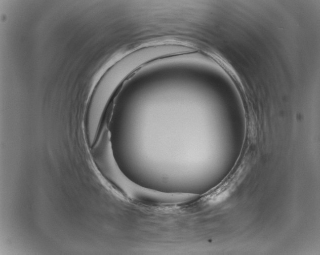 X0000067910813200604131342