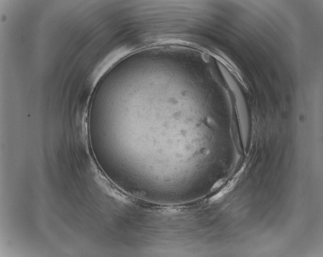 X0000067910814200604131342