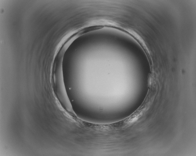 X0000067910815200604131342