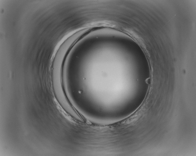 X0000067910816200604131342