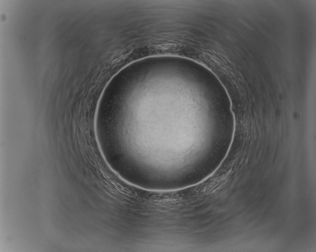 X0000067910817200604131341