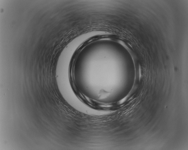 X0000067910818200604131341