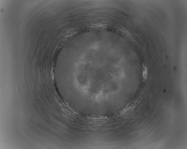 X0000067910819200604131341