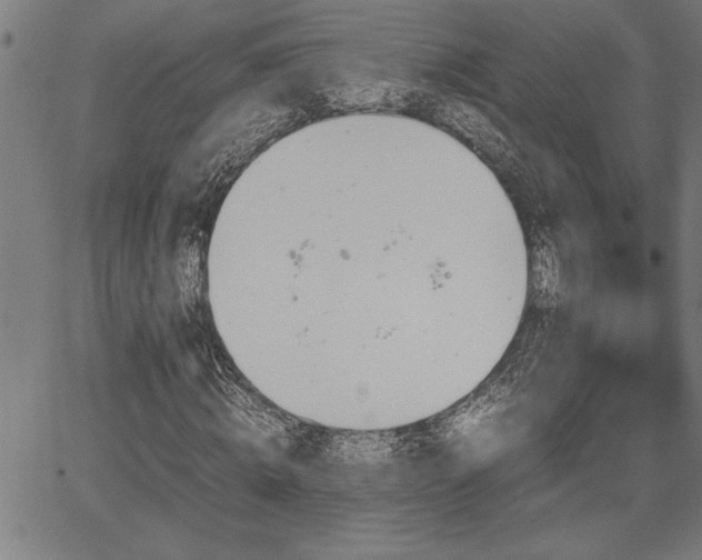 X0000067910820200604131341