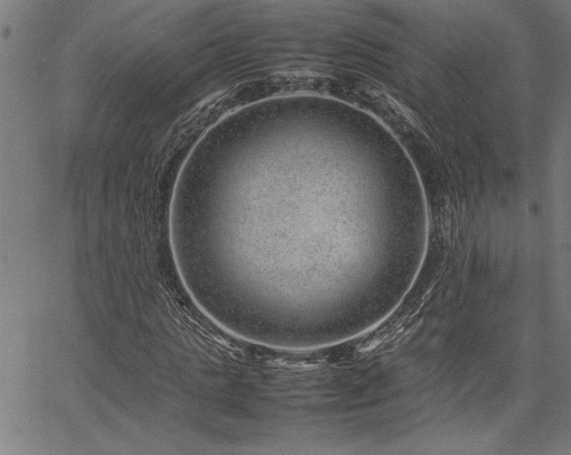 X0000067910821200604131341